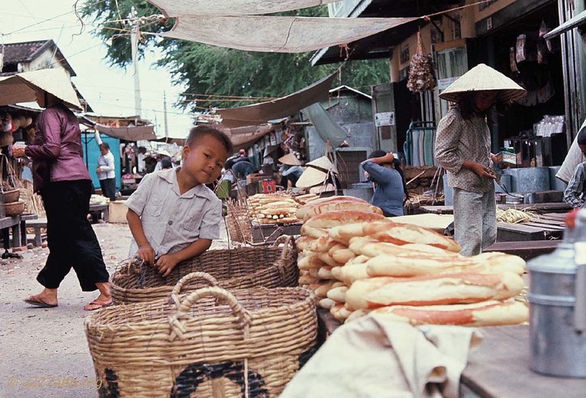 Loat anh cuc sinh dong ve cho Phan Thiet nam 1967-Hinh-6