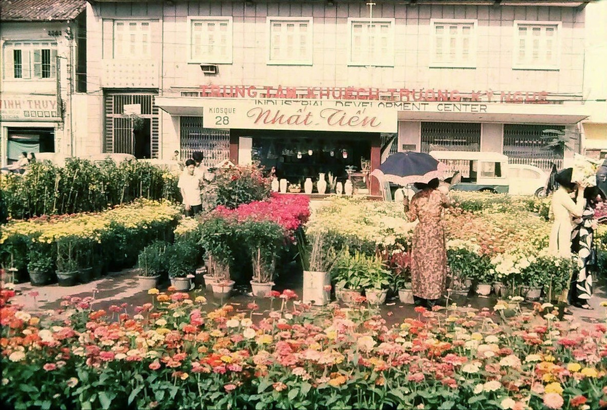 Cuc doc cho hoa Tet Sai Gon 1971 qua anh cua nguoi My-Hinh-5