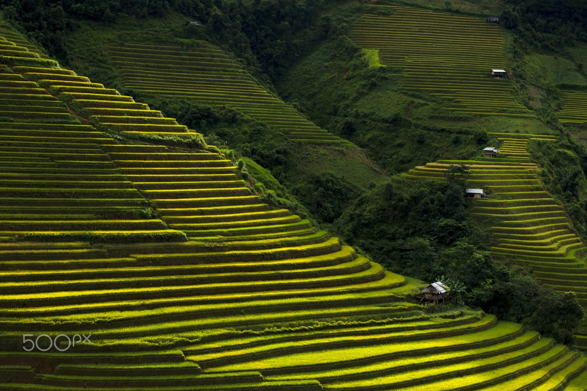 Mu Cang Chai dep nhu tranh qua ong kinh pho nhay quoc te-Hinh-7