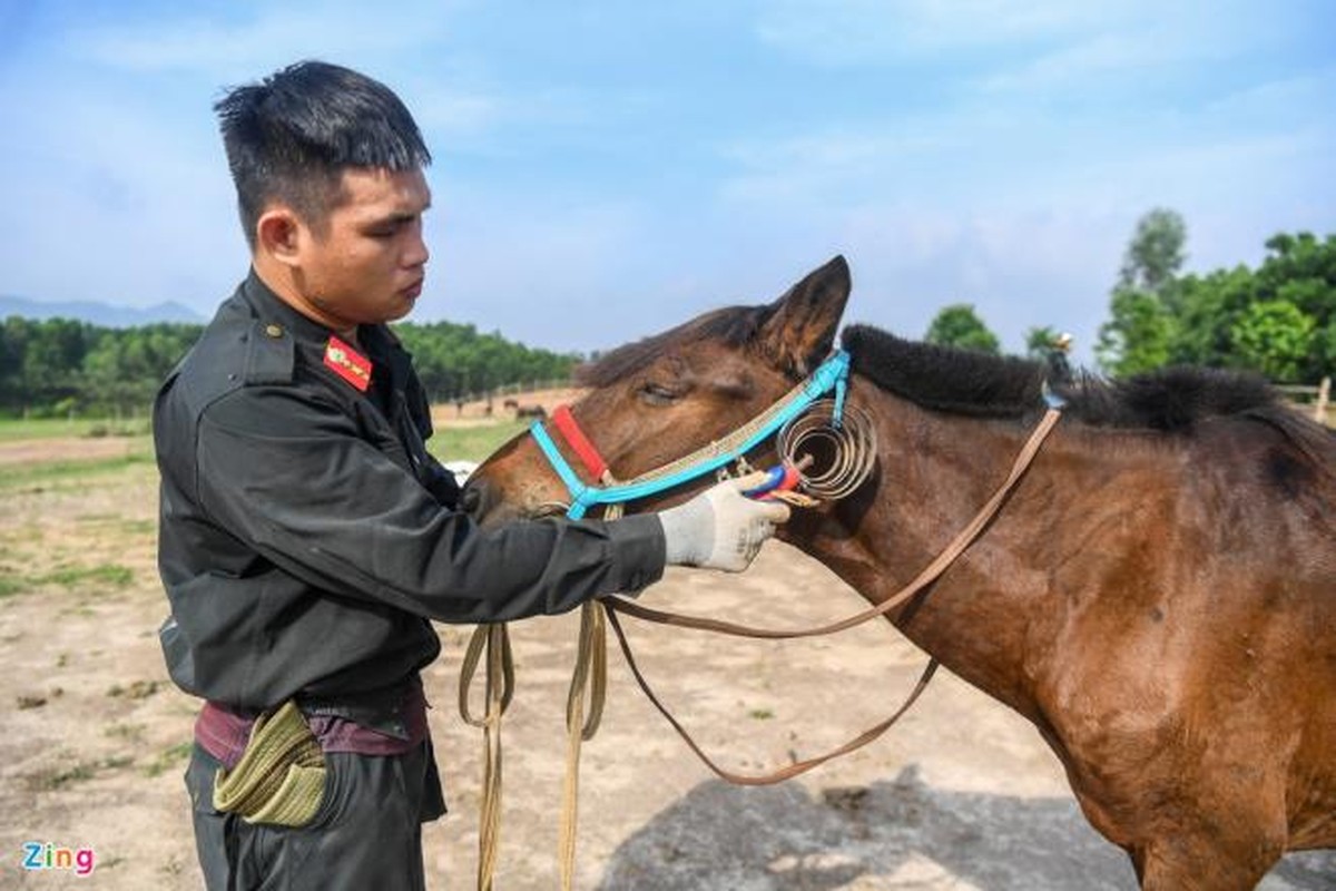 Can canh CSCD ky binh Viet Nam thuan duong, huan luyen ngua tren thao truong-Hinh-3