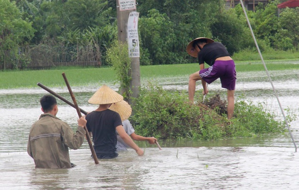 Vi sao nguoi Viet noi “uot nhu chuot lot“?-Hinh-6