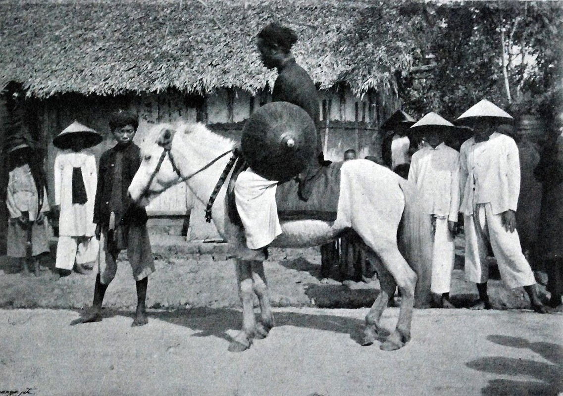 Vi sao nguoi Viet noi “chay nhu co long cong”?-Hinh-4