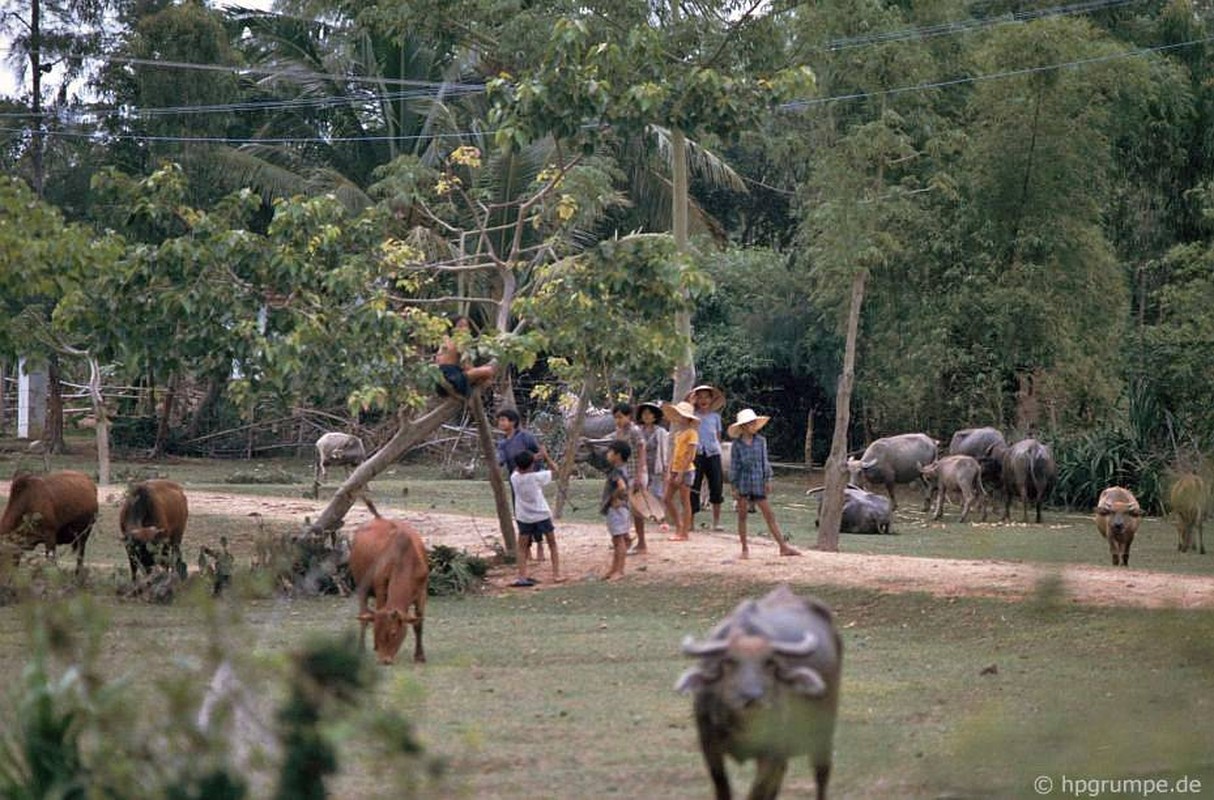 Anh “dep ngat” ve nhung chu trau o Viet Nam nam 1992 (ky 2)-Hinh-10