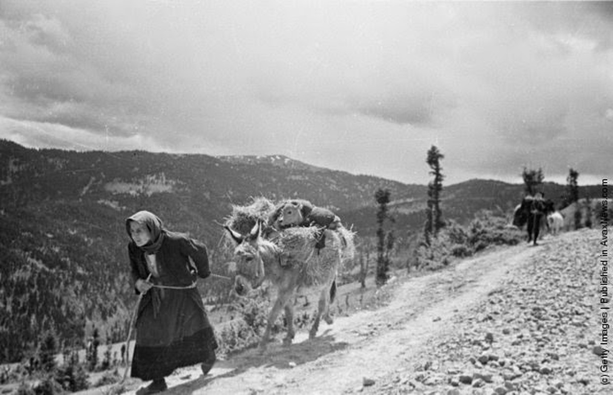 Anh kho quen ve cuoc noi chien Hy Lap nhung nam 1940-Hinh-8