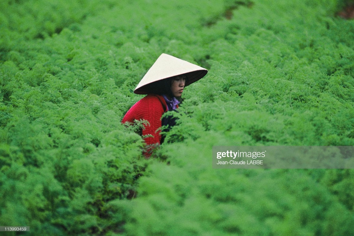 Ngam loat anh sieu hiem sieu doc ve Da Lat nam 1994-Hinh-4