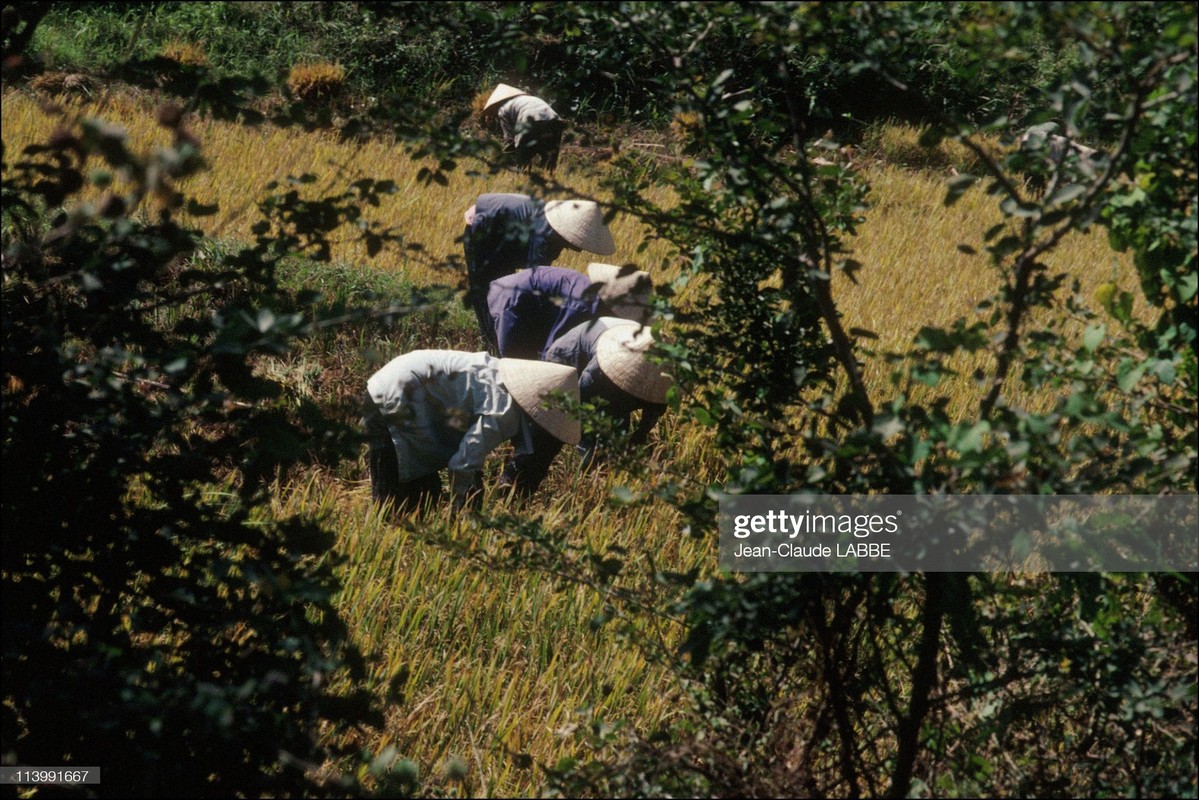 Ngam loat anh sieu doc la ve ba mien Viet Nam nam 1994-Hinh-13