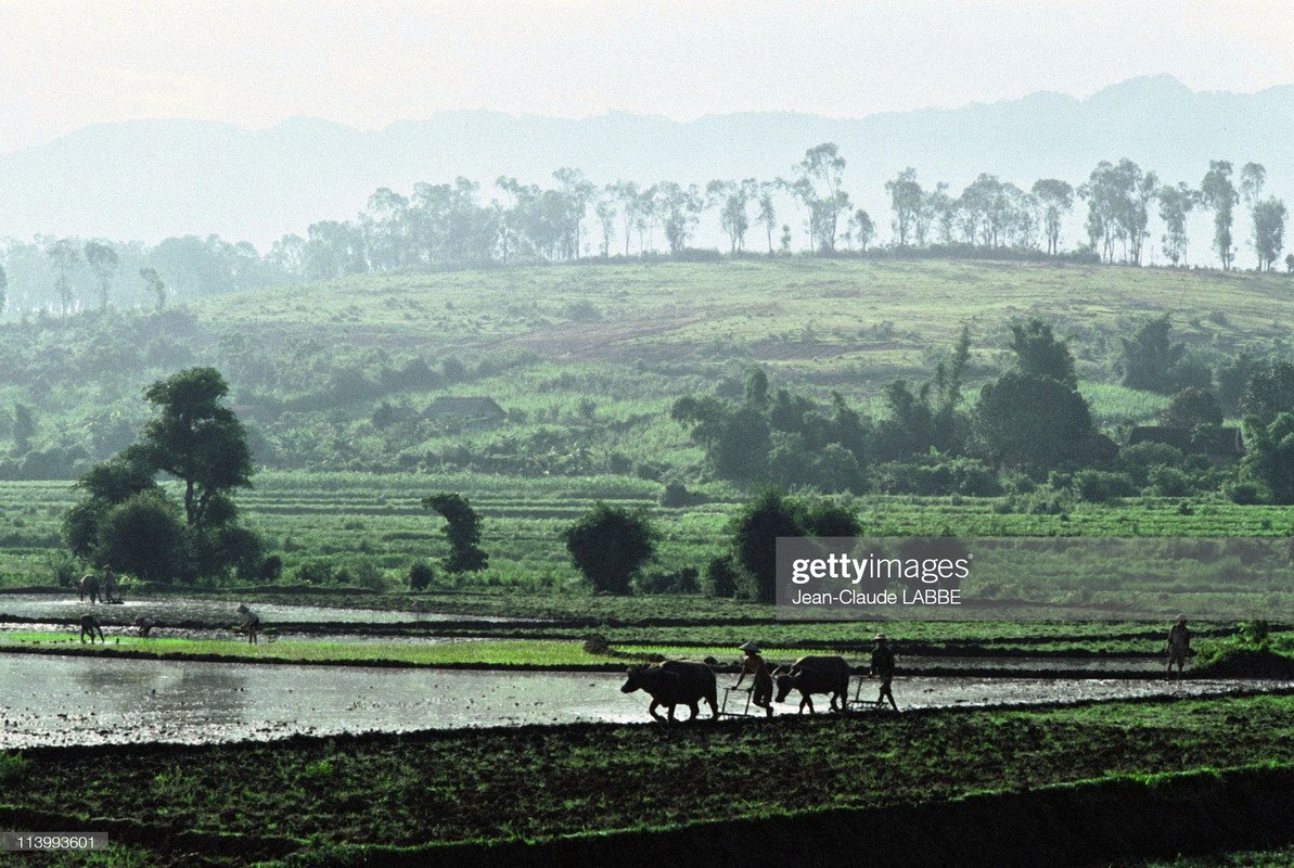 Ngam loat anh sieu doc la ve ba mien Viet Nam nam 1994-Hinh-5