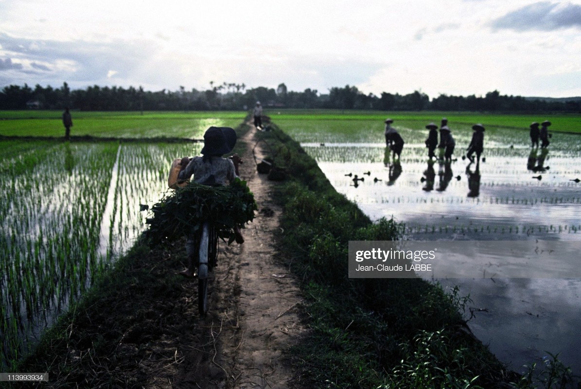 Boi hoi nhin lai cuoc song o nong thon Viet Nam dau thap nien 1990-Hinh-11