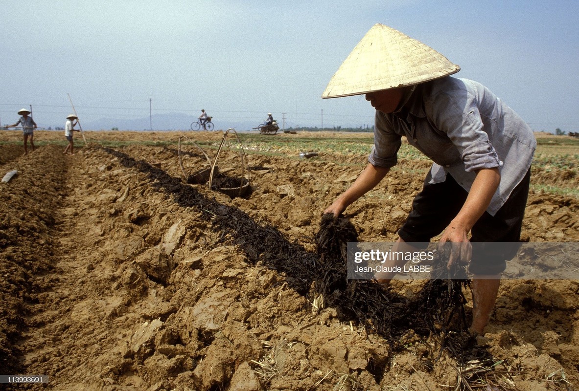 Boi hoi nhin lai cuoc song o nong thon Viet Nam dau thap nien 1990-Hinh-13