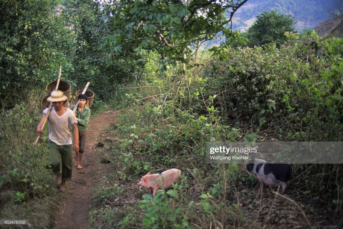 Dep ngat ngay khung canh hoang so cua Hoa Binh nam 1992-Hinh-6