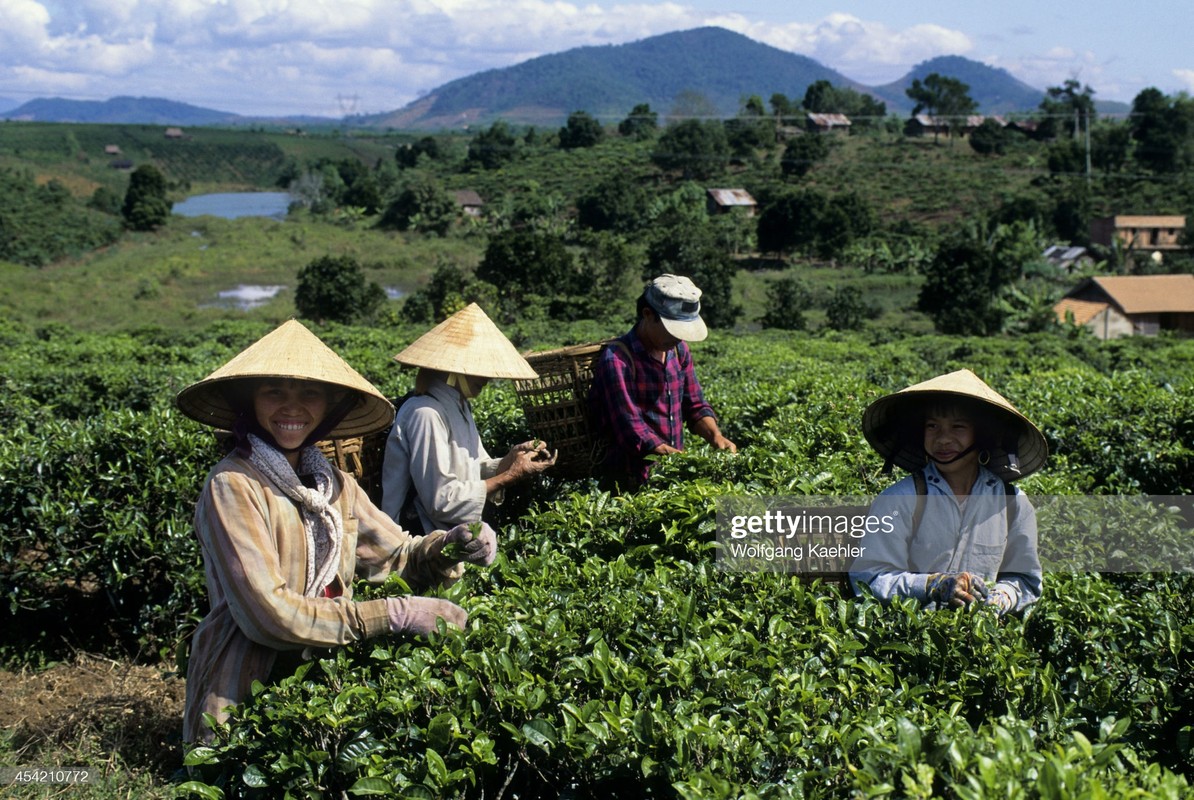 Anh “chat lu” ve Viet Nam nam 1992 qua ong kinh nguoi Duc-Hinh-6