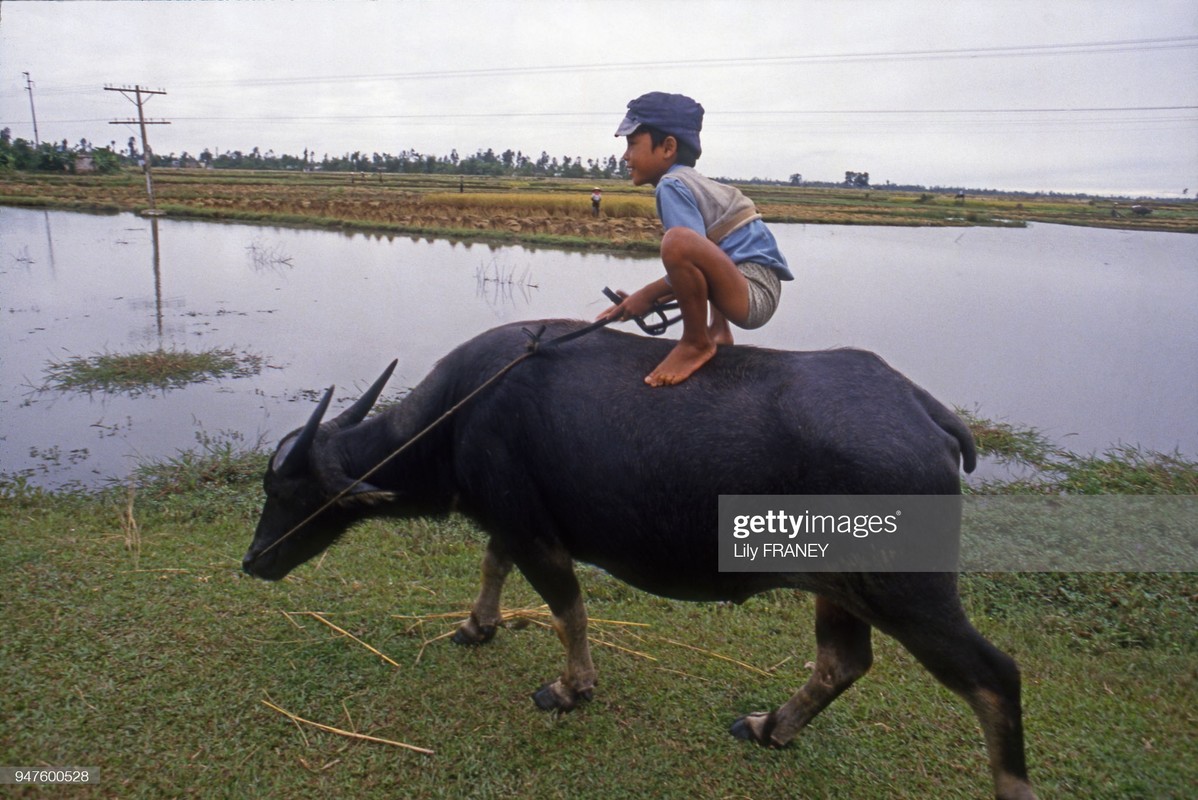 Khung canh thanh binh cua dong que Viet Nam nam 1987 (2)-Hinh-3