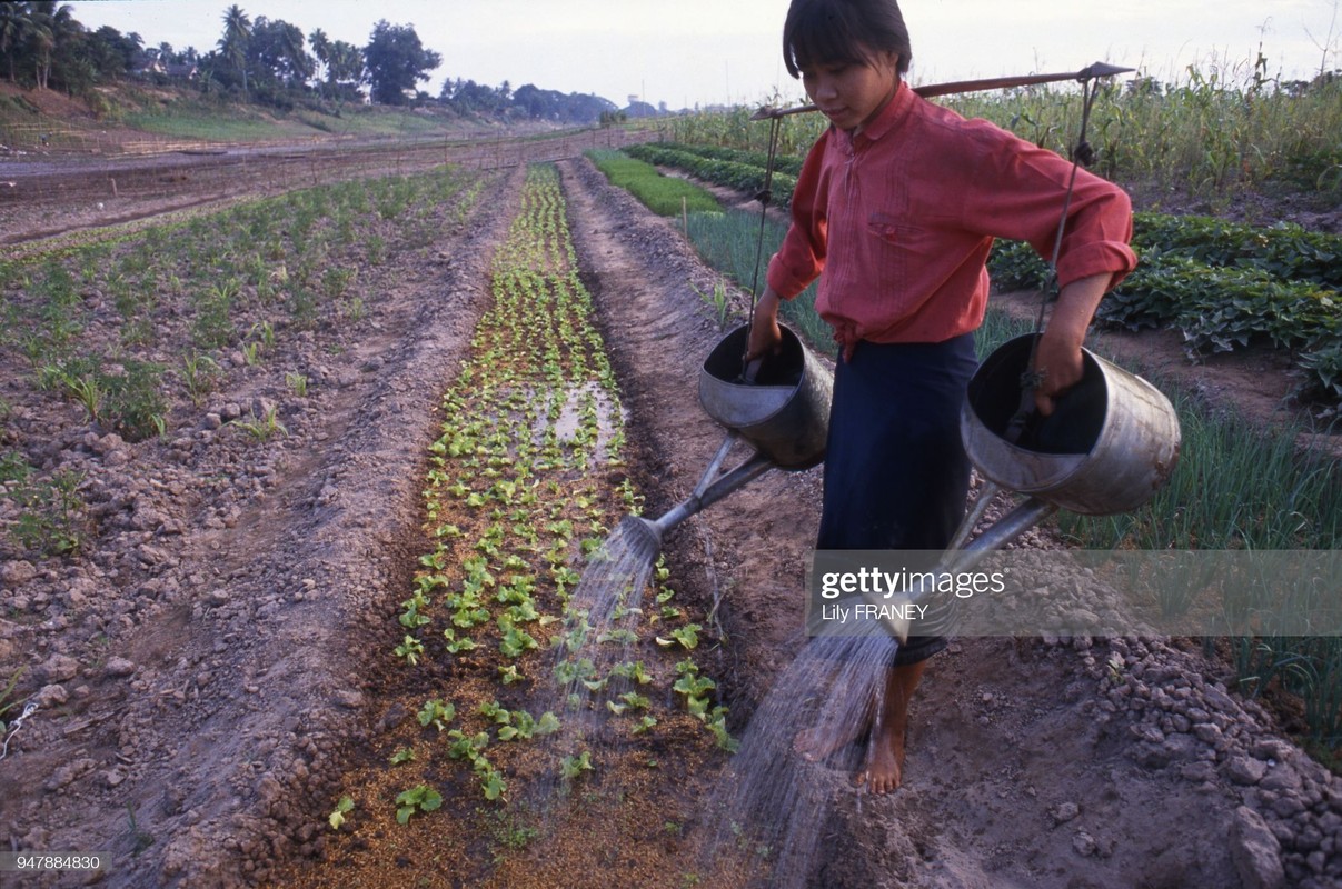 Khung canh thanh binh cua dong que Viet Nam nam 1987 (2)-Hinh-6