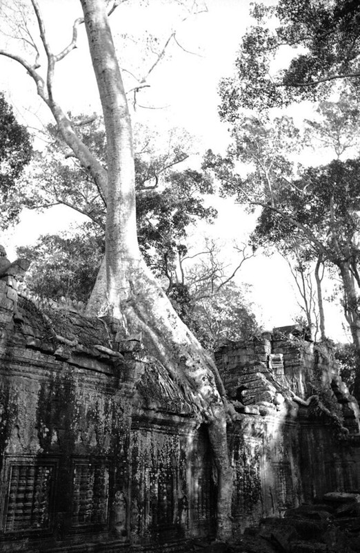 Anh hiem co kho tim ve phe tich Angkor thap nien 1930-Hinh-14