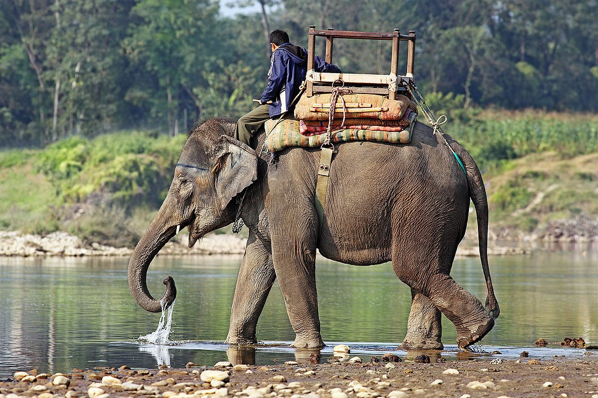 Tiet lo thu vi: Nhung noi voi nao con ton tai tren the gioi?-Hinh-4