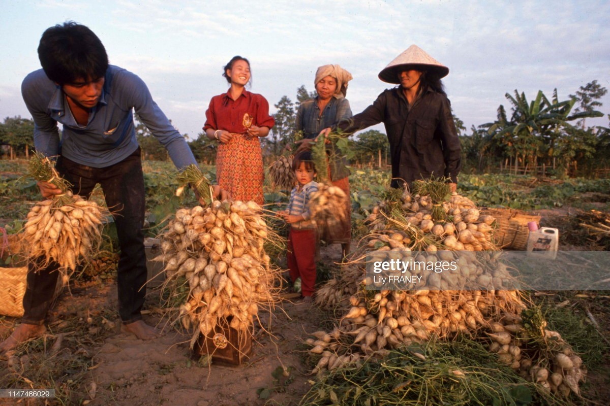 Ngam nhin doi thuong moc mac o Lao nam 1988 (1)-Hinh-9