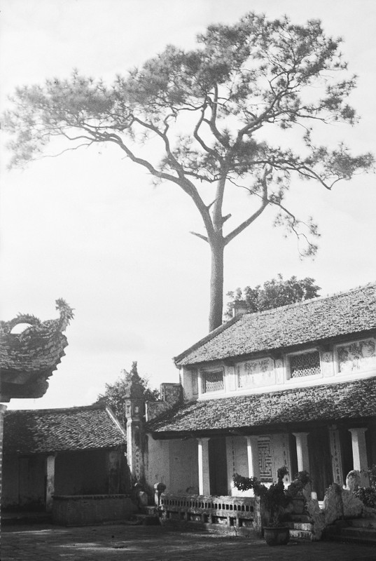 Loat anh hiem ve chua Lang cua Ha Noi nam 1952-Hinh-2