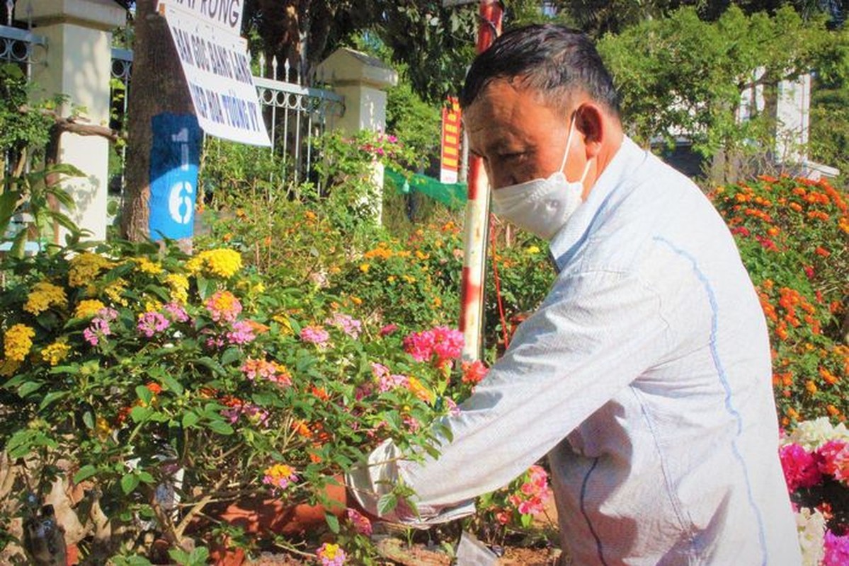 Tu bui ram, hoa ngu sac xung xinh xuong pho 'do sac' cung muon loai ky hoa di thao-Hinh-2