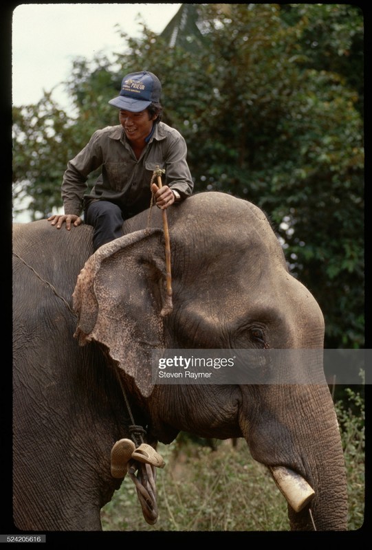 Loat anh kho quen ve Dak Lak nam 1994-Hinh-7