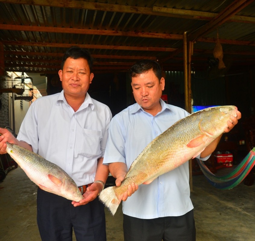 Viet Nam co loai ca mieng rong, bat duoc 1 con du an ca doi-Hinh-7