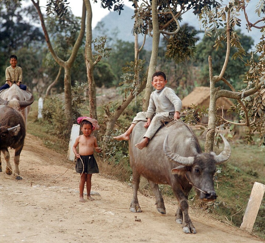 Cuoc song o mien Bac Viet Nam nam 1973 qua ong kinh quoc te-Hinh-8