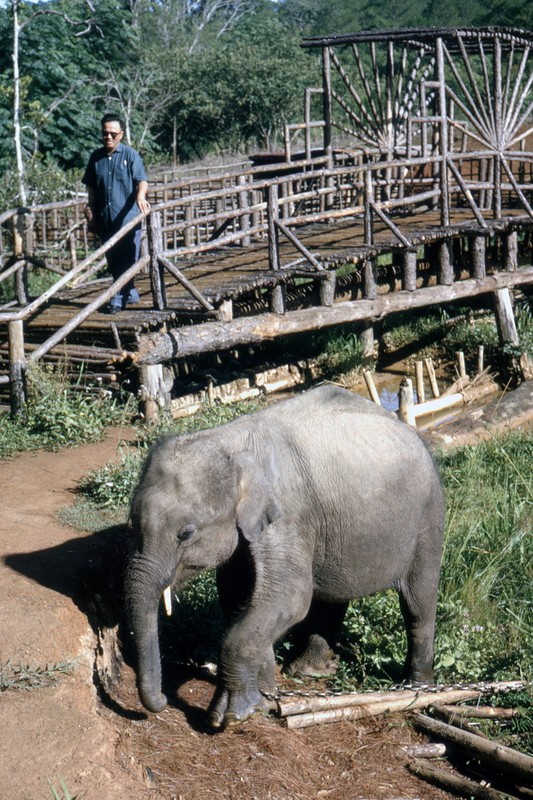 Loat anh cuc hiem va doc ve Da Lat nam 1963-Hinh-7