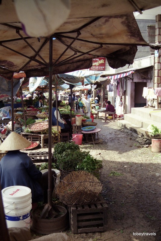 Goc nhin cuc la ve pho nui Da Lat nam 1996-Hinh-6