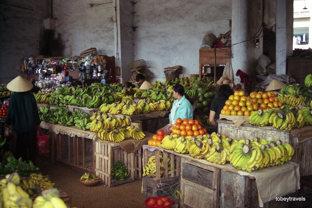 Goc nhin cuc la ve pho nui Da Lat nam 1996