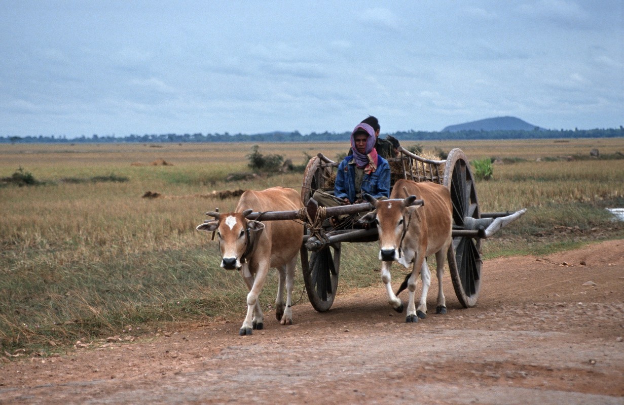 Kham pha vung dat Siem Reap co xua o Campuchia nam 1992-Hinh-14