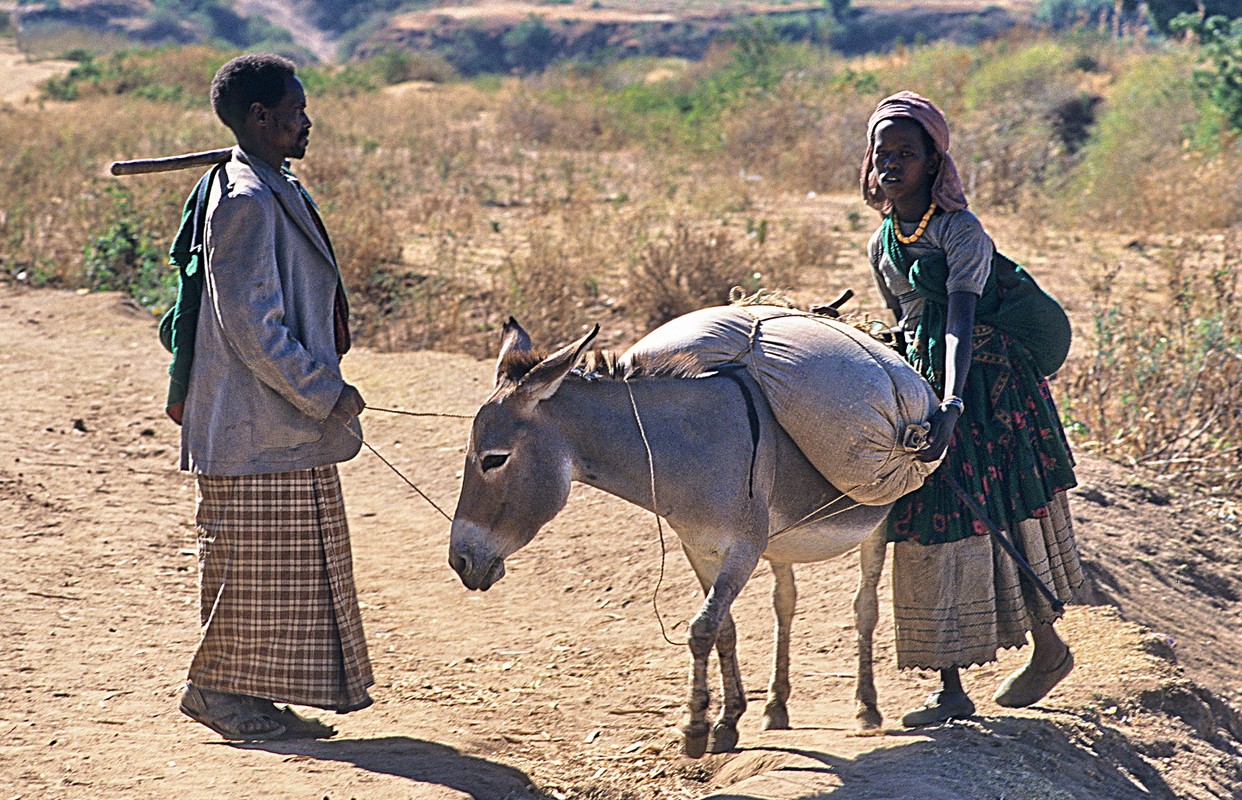 Cuoc song nhu co tich o dat nuoc Ethiopia nam 1997-Hinh-3