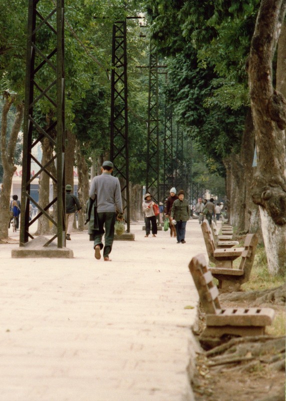 Mat mat voi nhung con duong rop bong cay o Ha Noi nam 1990-Hinh-7