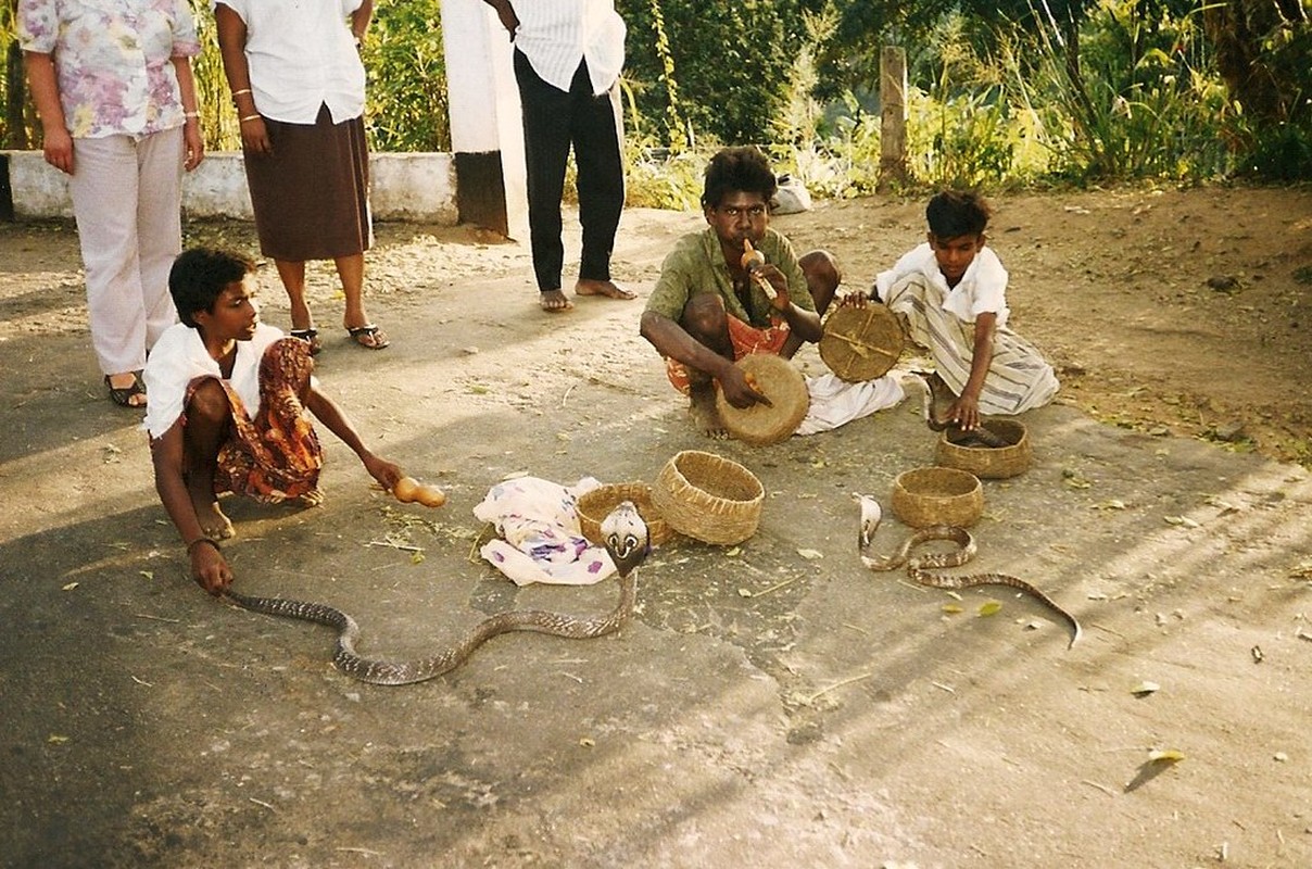 Cuc thu vi trai nghiem cuoc song o Sri Lanka nam 1993-Hinh-7
