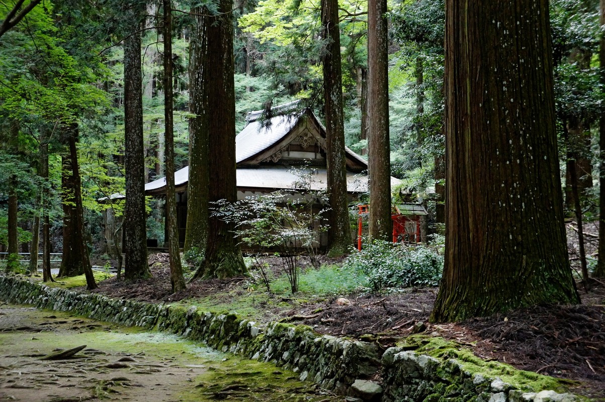 Kham pha 17 di tich huyen thoai o co do Kyoto Nhat Ban-Hinh-10