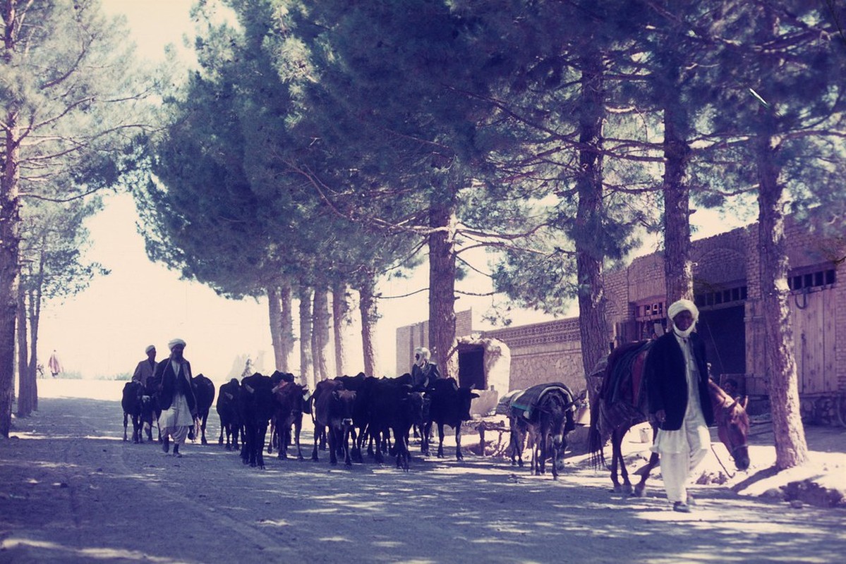 Anh cuc hiem ve cuoc song binh yen o Afghanistan nam 1971-Hinh-11