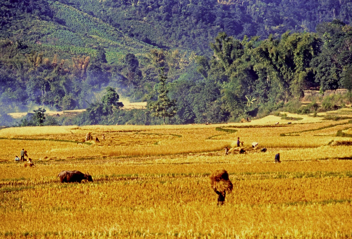 Ba mien Viet Nam dau thap nien 1990 qua anh pho nhay Phap (2)-Hinh-4