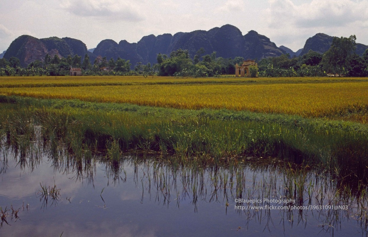 Anh tuyet voi ve vung dat Ninh Binh nam 1998 qua ong kinh Tay-Hinh-3