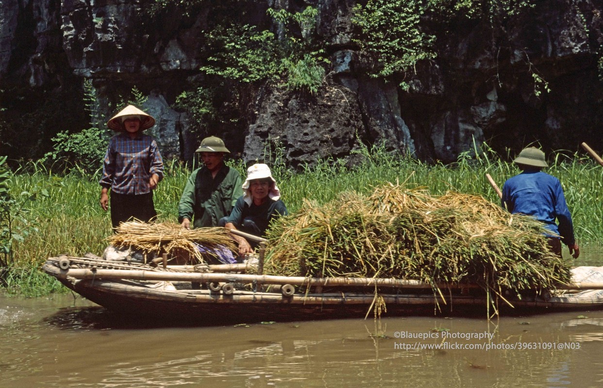 Anh tuyet voi ve vung dat Ninh Binh nam 1998 qua ong kinh Tay-Hinh-9