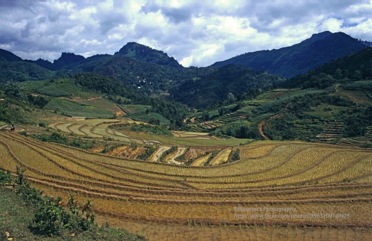 Cam nhan ve dep thuan khiet cua Sa Pa nam 1998-Hinh-2