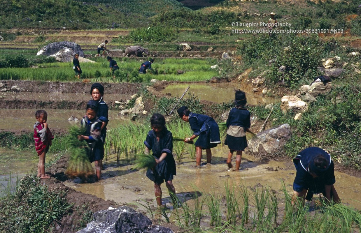 Cam nhan ve dep thuan khiet cua Sa Pa nam 1998-Hinh-3