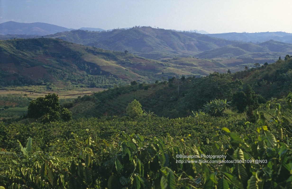 Loat anh de doi ve chuyen di Da Lat nam 1993-Hinh-4