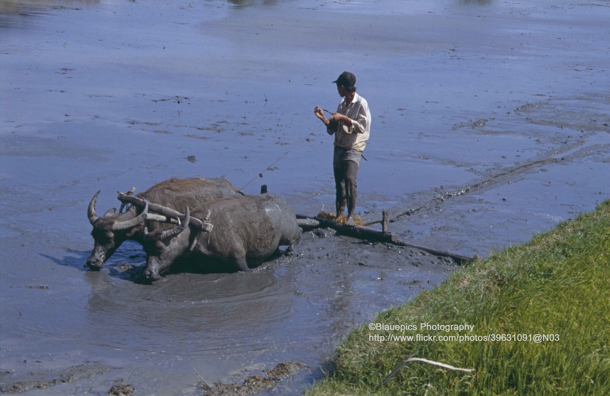 Phan Rang va Nha Trang nam 1993 tuyet dep qua ong kinh khach Tay-Hinh-5