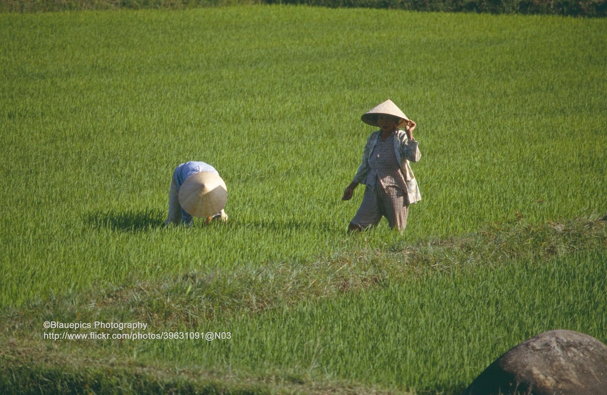 Hinh doc: Hanh trinh tu Nha Trang di Hue nam 1993 (1)-Hinh-9