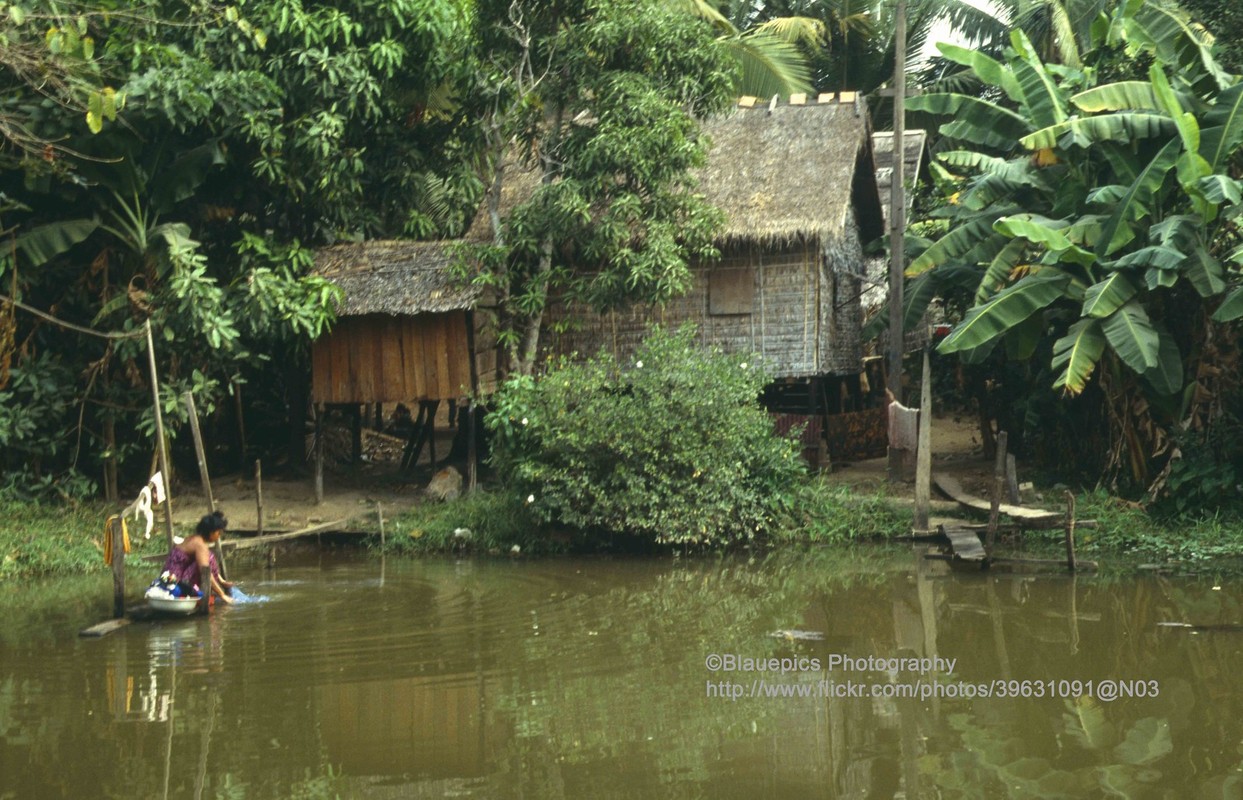 Anh hiem ve cuoc song tren bien ho Tonle Sap nam 1993-Hinh-7