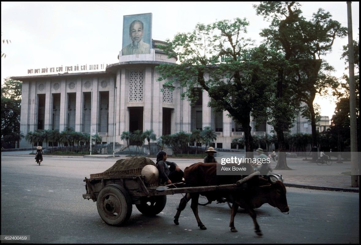 Ha Noi thoi bao cap qua loat anh quy cua Alex Bowie-Hinh-3