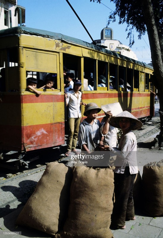 Ha Noi thoi bao cap qua loat anh quy cua Alex Bowie-Hinh-5