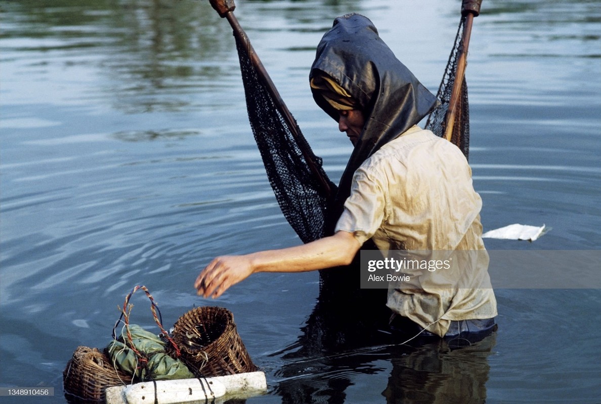 Ha Noi thoi bao cap qua loat anh quy cua Alex Bowie-Hinh-9