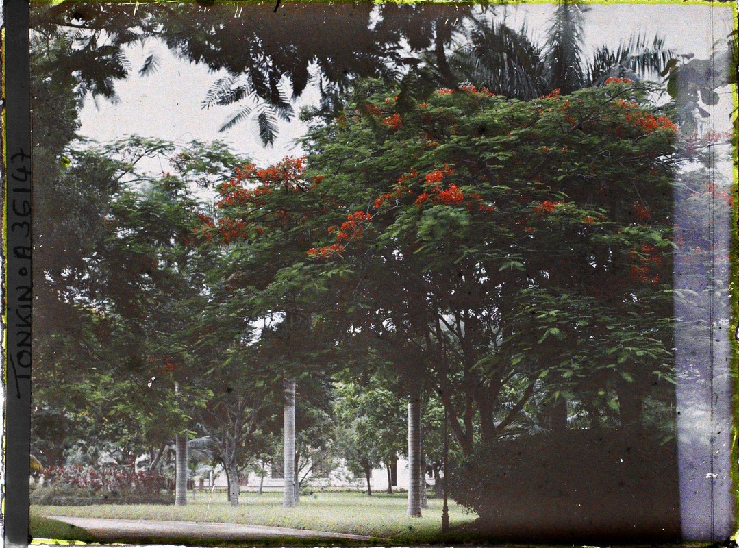 Hinh mau cuc hiem ve khung canh Ha Noi nam 1921-Hinh-4