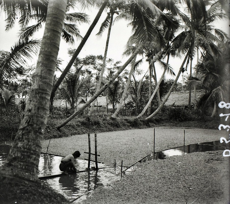 Anh cuc hiem ve lang Dua o tinh Ha Dong thap nien 1920 (2)-Hinh-10