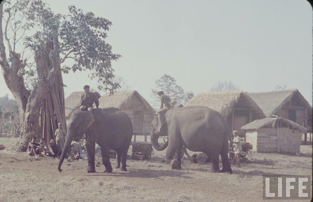 Cuoc song o Buon Ma Thuot nam 1957 qua anh cua tap chi Life-Hinh-5