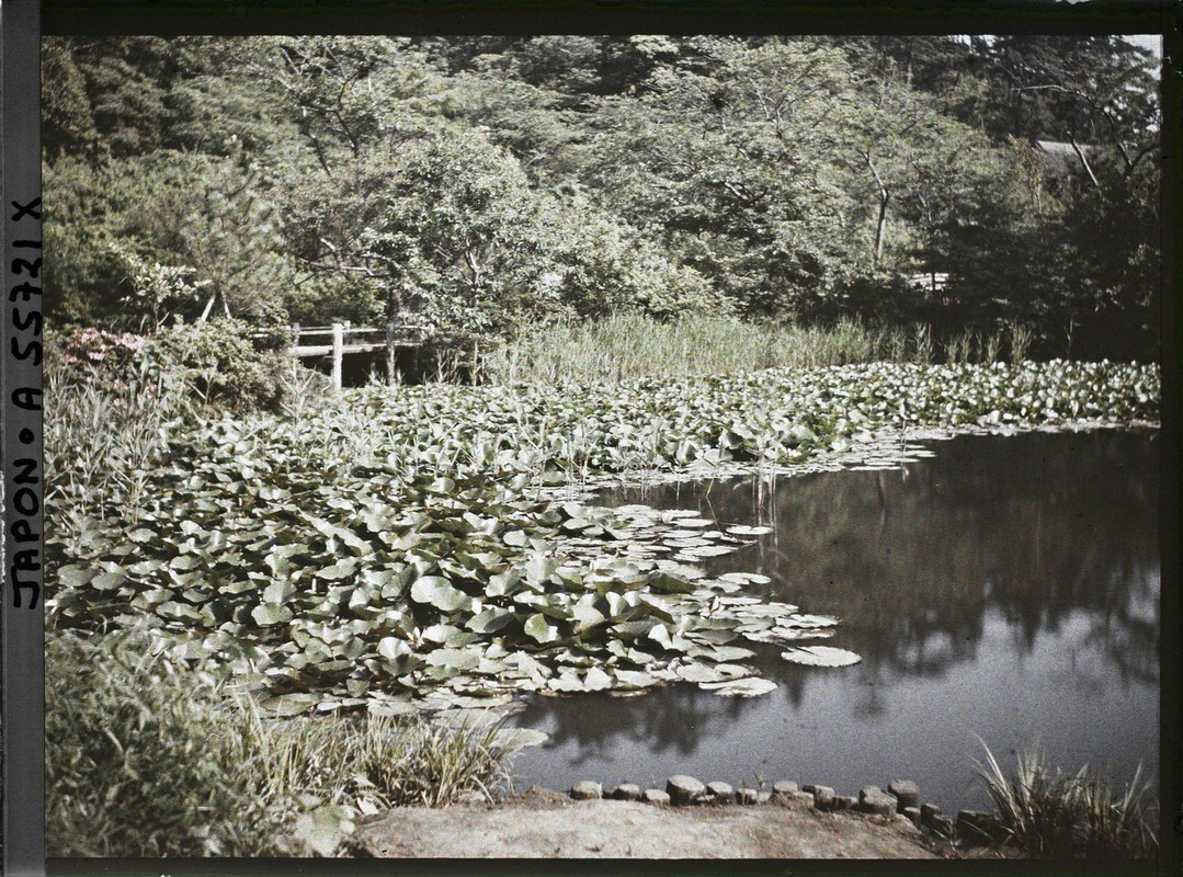 Anh mau hiem ve thanh pho Yokohama o Nhat Ban nam 1926-Hinh-14